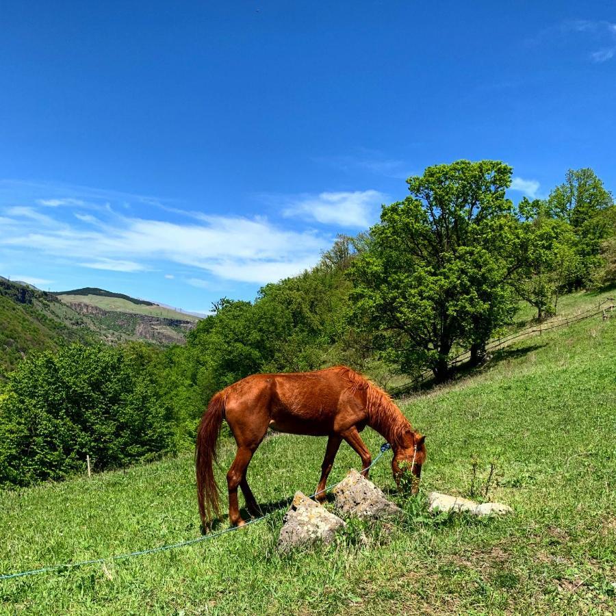 Alereks Mountain Camping Dsegh Екстер'єр фото